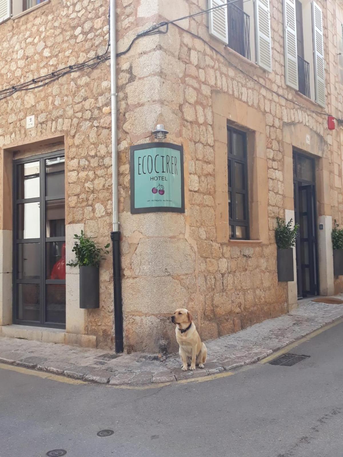 Ecocirer Healthy Stay Sóller Exterior foto